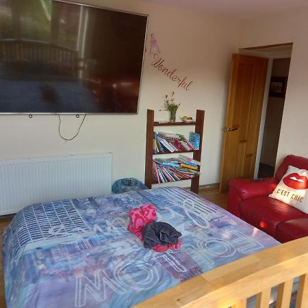 No 9 Manor Way Carmarthen Exterior foto